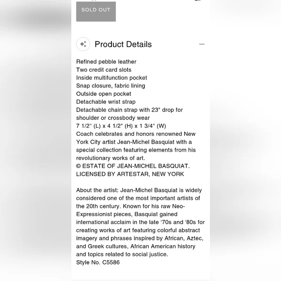 Coach X Crossbody Kleo Bag - Jean Michel Basquiat Artwork - Picture 11 of 16